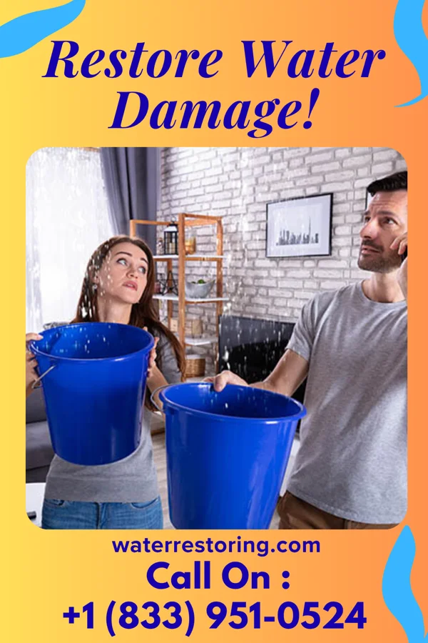 water restoration National Damage Recovery Masters Trout Valley