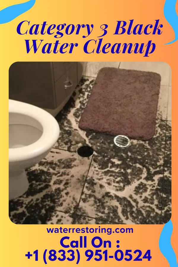 Category 3 Black Water Cleanup in Trout Valley, IL