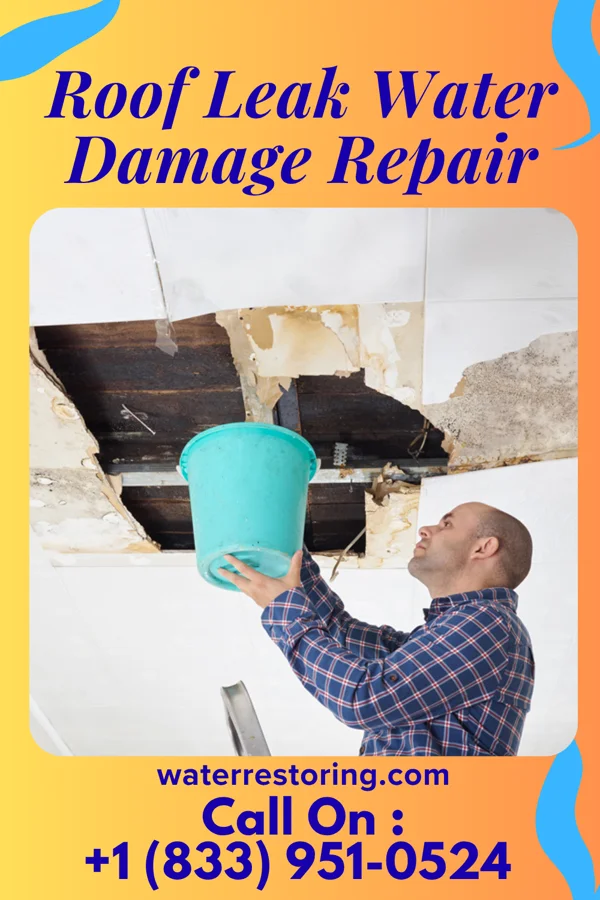 Roof Leak Water Damage Repair in Trout Valley, IL