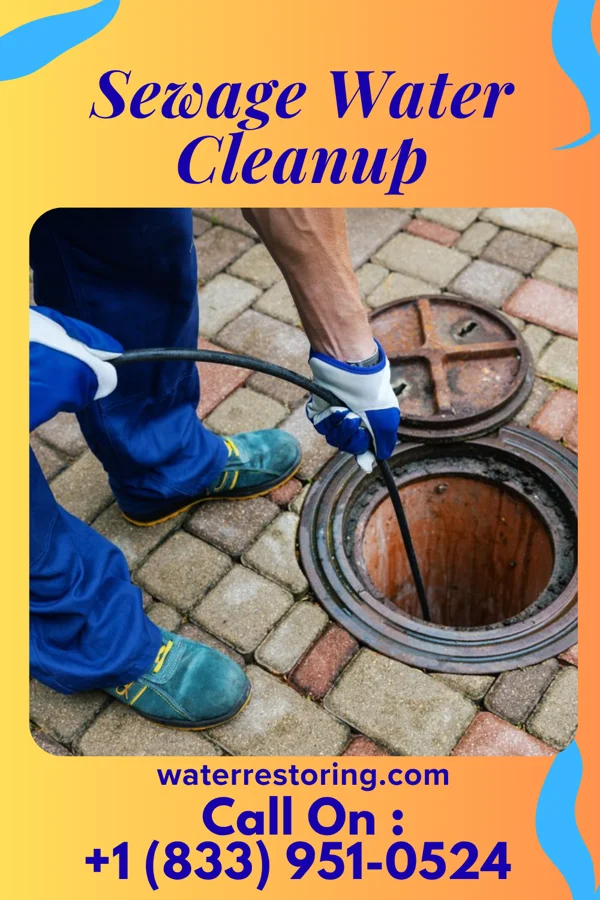 Sewage Water Cleanup in Trout Valley, IL